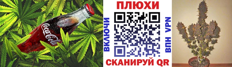 Купить  Каменка  Canna-Cookies марихуана 