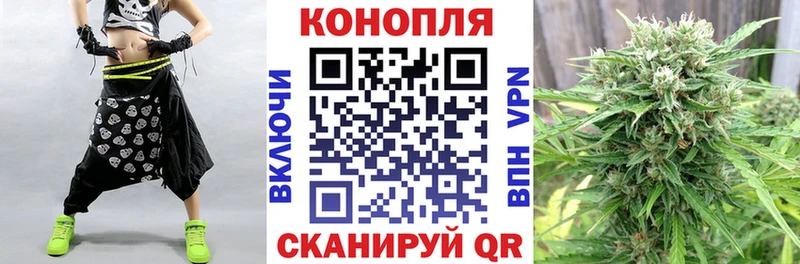 Купить где  Каменка  Каннабис конопля 